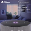 Умная колонка Яндекс.Станция Мини 3. Цвет: серый