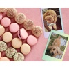 Картридж FUJIFILM Colorfilm Instax MINI Macaron, 10 листов