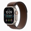 Apple Watch Ultra 4 (2026), 49 мм, природный титан, "походная петля" цвета "Темная умбра"