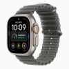 Apple Watch Ultra 4 (2026), 49 мм, природный титан, "океаническая петля" черного цвета