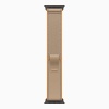 Apple Watch Ultra 4 (2026), 49 мм, черный титан, "походная петля" песочного цвета